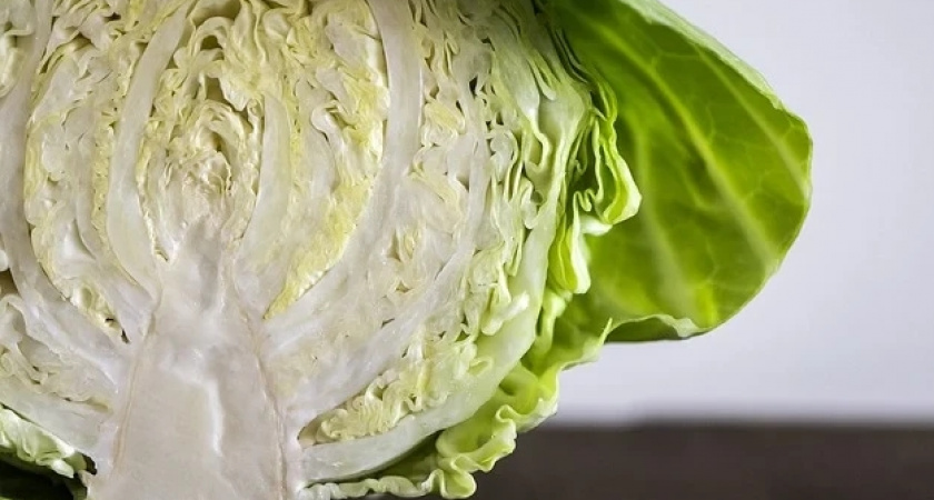 Врач объяснила, кому опасно есть капусту