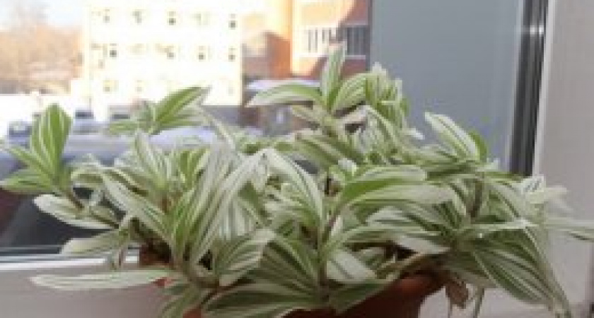 «Мы не боимся ответственности»