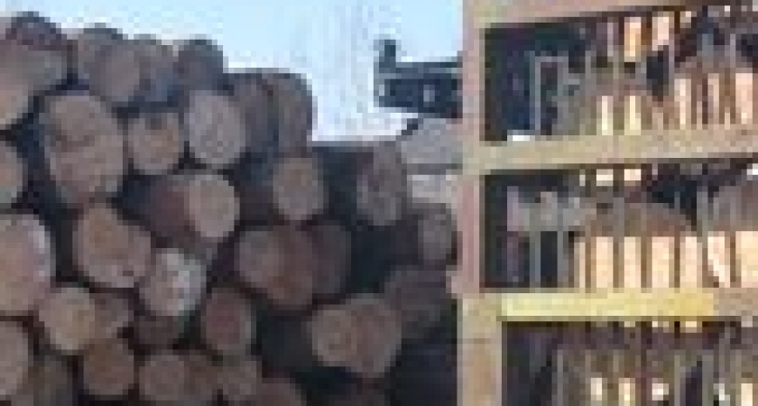 На деревоперерабатывающих предприятиях Иркутской области выявлено около 500 нарушений пожарной безопасности