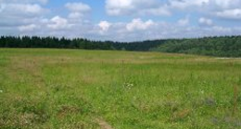 Предельный размер земельных участков, предоставляемых крестьянским хозяйствам, увеличен в Иркутской области