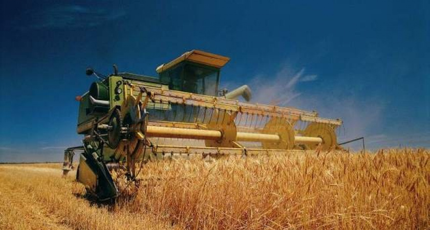 С полей Приангарья убрали уже около 80% зерновых культур
