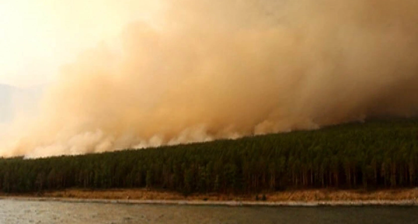 Фото к статье: Лето-2015 побило все рекорды