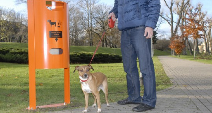 DOG-пакеты для выгула собак