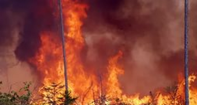 Тайга загорелась в Качугском районе Приангарья после удара молнии 