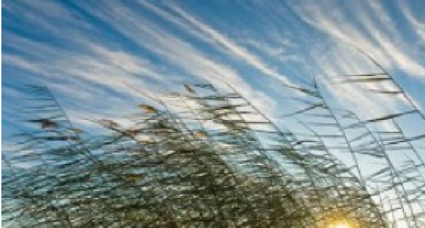 Усиление ветра ожидается в Иркутской области 11 апреля