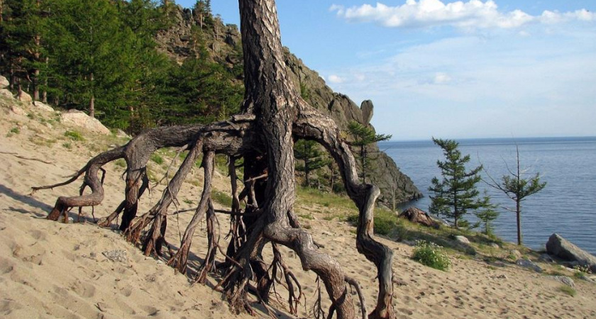 Бухту Песчаная на Байкале незаконно разделили на участки, передав их в частную собственность
