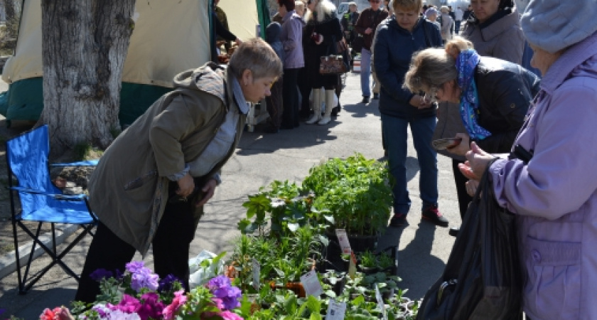 ВКУСНОЕ, КАЧЕСТВЕННОЕ, МЕСТНОЕ – НА ЯРМАРКЕ ВЫХОДНОГО ДНЯ
