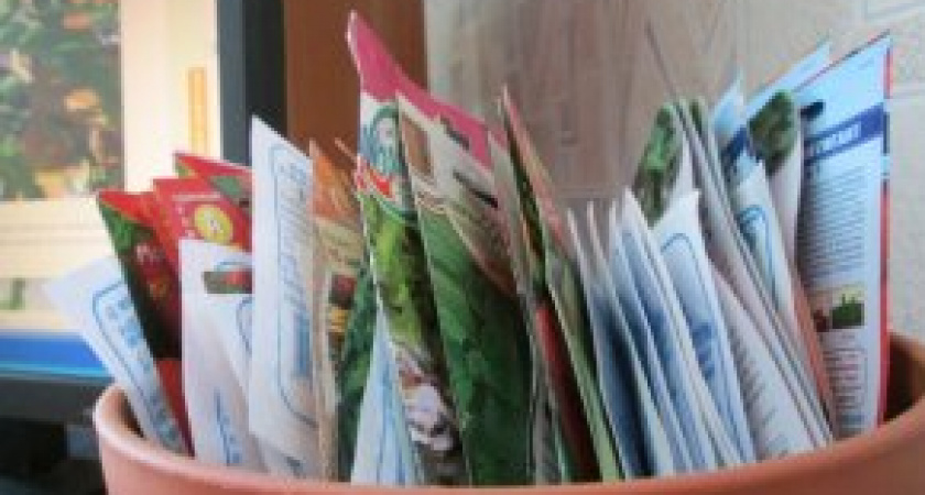 Опасные семена - сорняки вместо овощей и ГМО