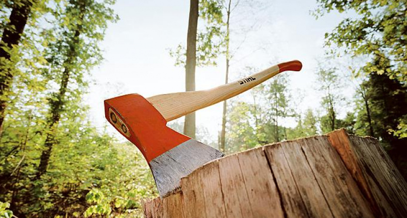 Граждане помогли полицейским пресечь незаконную рубку леса