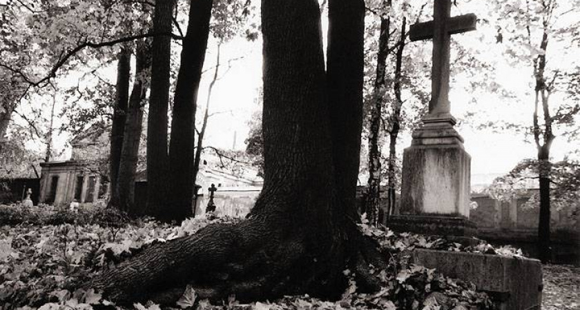 Новому городскому кладбищу быть