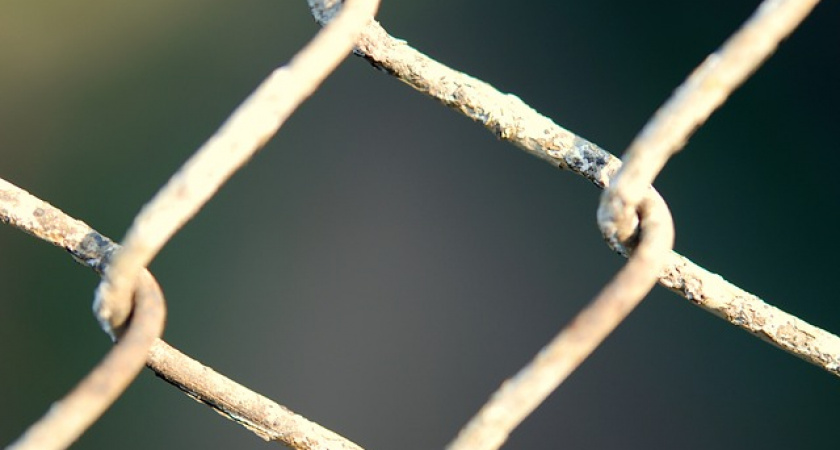 Путин прокомментировал ситуацию с мигрантами на границе Польши и Белоруссии