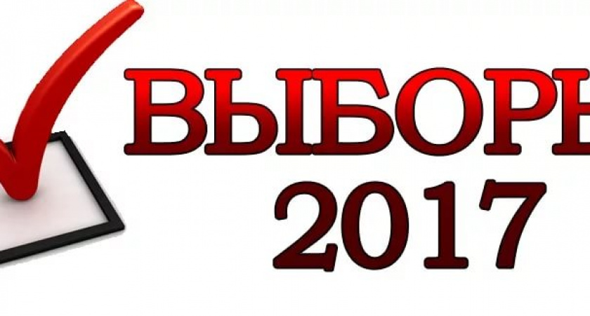 11 кандидатов в депутаты и 2 на должность мэра выбыли из предвыборной гонки