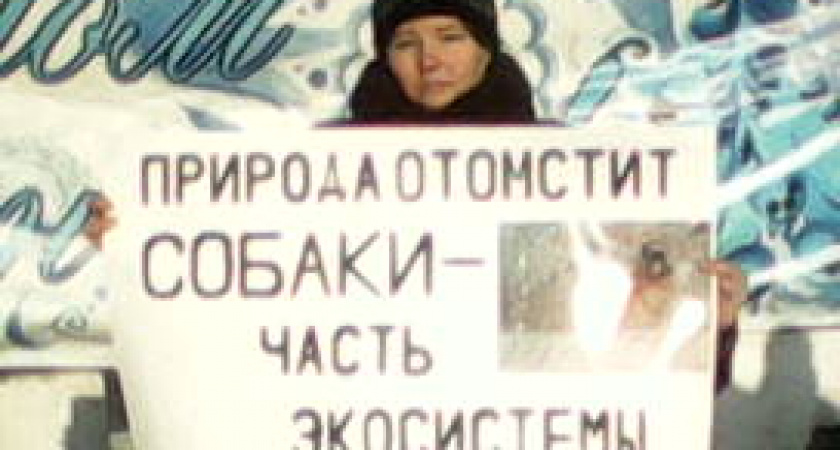 Власти Иркутской области позовут зоозащитников считать бездомных животных