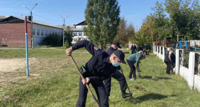 Усольские полицейские высадили более 30 саженцев кедра
