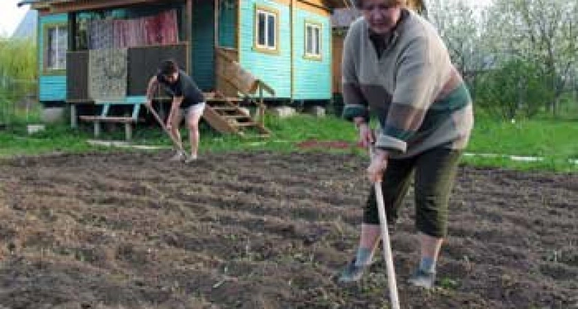 Фото к статье: Дачники без автобуса