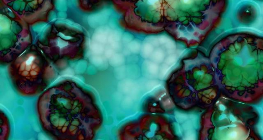 Кариес и потеря зубов могут говорить о развитии жировой болезни печени