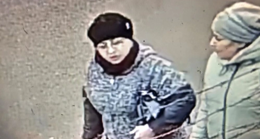 Фото к статье: Полиция разыскивает женщин, подозреваемых в мошеннических действиях в отношении усольской пенсионерки