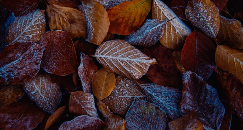 Синоптики предупреждают о резком похолодании на этой неделе 
