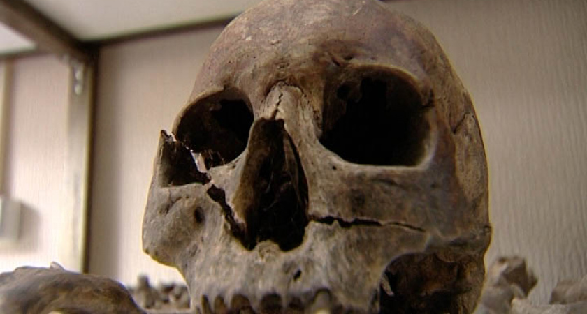Скелет древнего человека нашёл житель Усть-Илимска