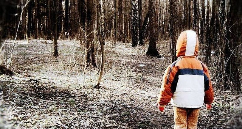 Полиция наращивает усилия по поиску пропавшего в Куйтунском районе 3-летнего мальчика