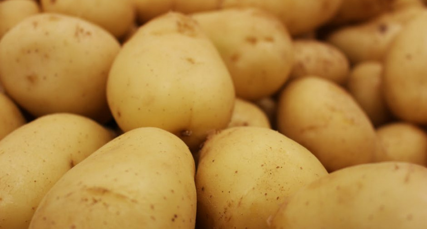 Диетологи объяснили, какими продуктами можно заменить картофель