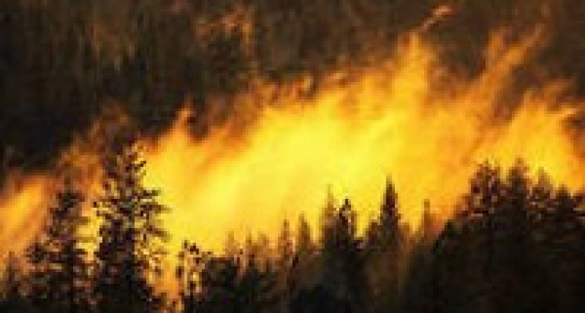 Фото к статье: Уголовники тушат пожары в Иркутской области