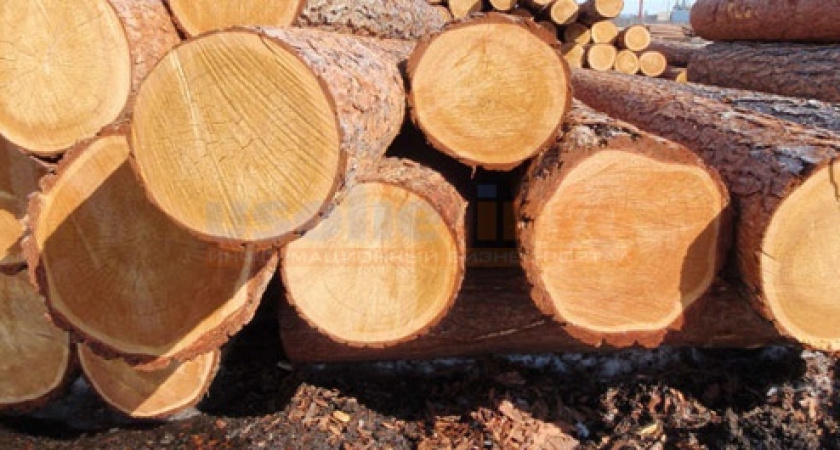 Леса вывозят меньше