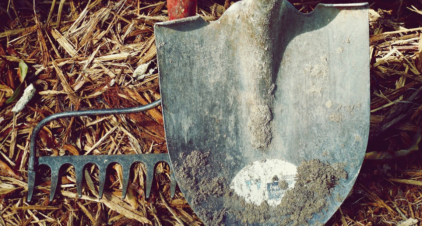 Более тысячи человек вышли из трудовой тени в Иркутской области