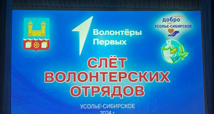  Городской фестиваль волонтёрских отрядов «Вместе мы сила».