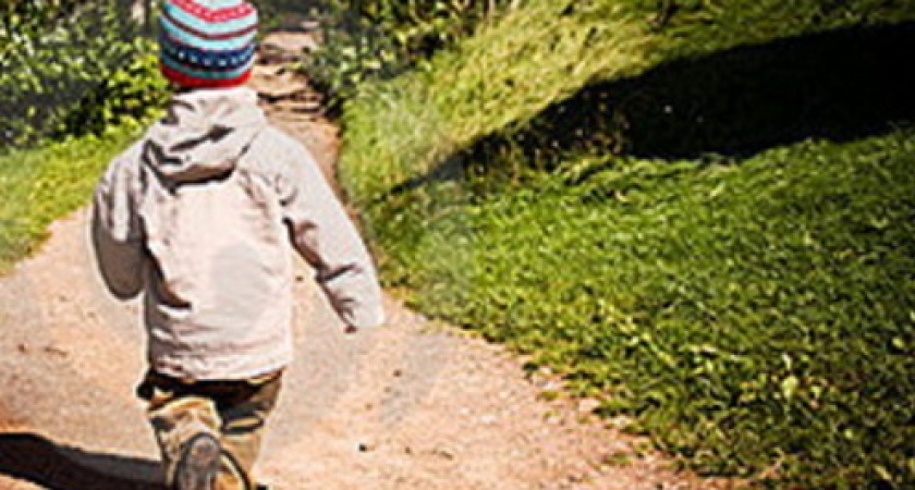 Пропавший мальчик найден живым и невредимым