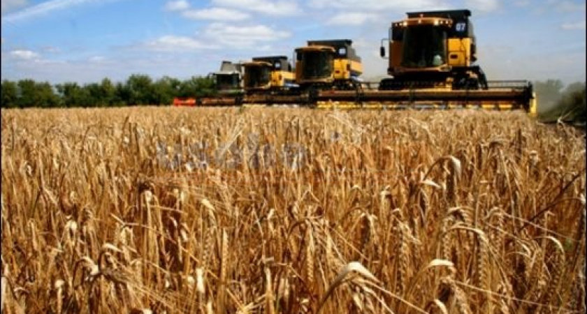 Новости сельского хозяйства Усольского района