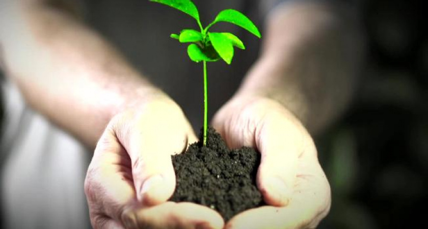 Иркутская область отстает от других в экологическом рейтинге