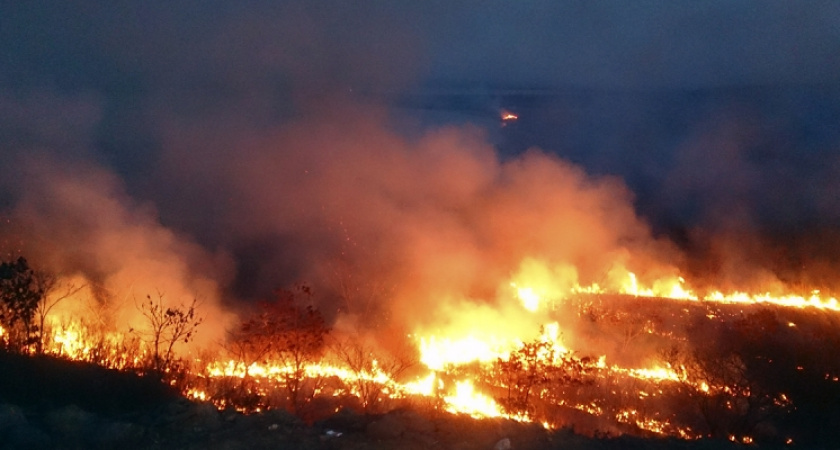 "Пиромана", поджигавшего траву, задержали в Усольском районе Иркутской области
