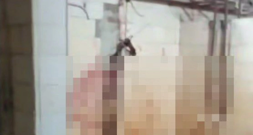 Фото к статье: В Усолье-Сибирском полицейские расследуют инцидент с останками животного