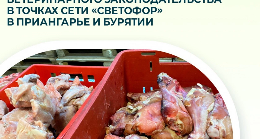 Фото к статье: Специалисты Россельхознадзора Иркутской области проверили торговую сеть „Светофор“ в регионе
