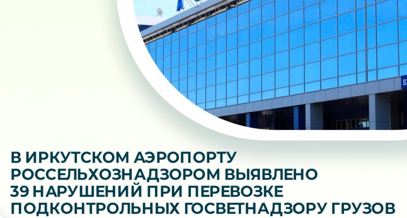 Фото к статье: Более трёх десятков нарушений выявили в пункте пропуска аэропорта Иркутска за неделю