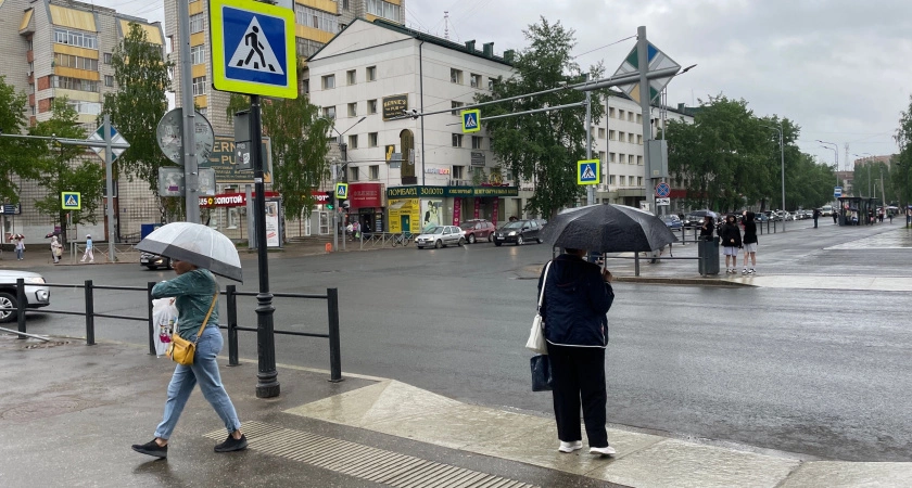 Фото к статье: «Все лето будет аномальное». Синоптики поделились новым прогнозом