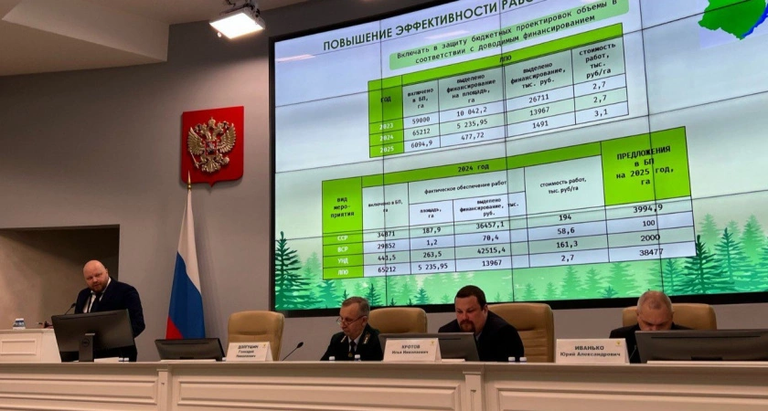 Фото к статье: Рослесхоз обсуждает меры по защите лесов Иркутской области