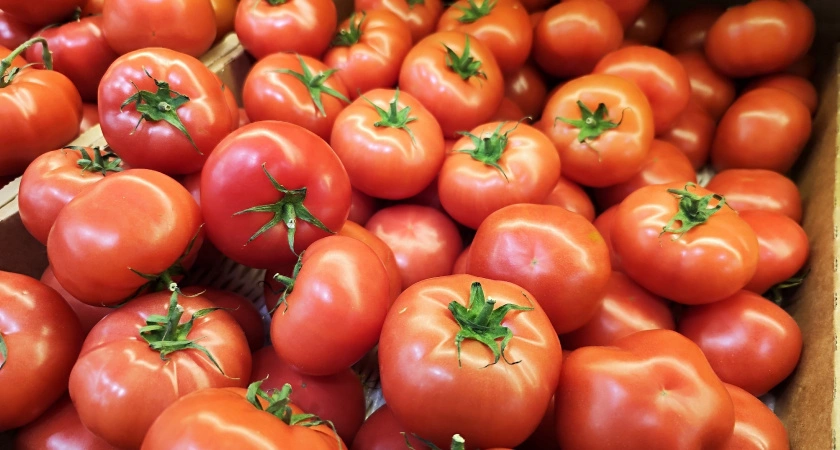 Фото к статье: Томаты с идеальным вкусом: эти 3 сорта помидоров впечатлят любого дачника - сажаю только их