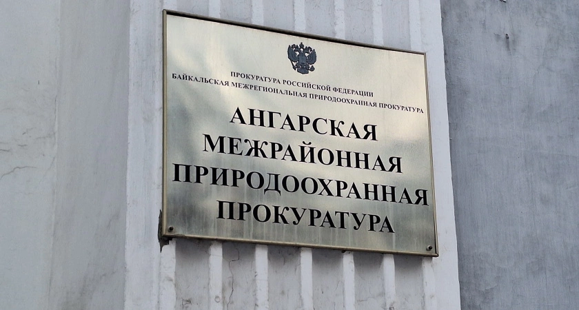 Фото к статье: Иркутский суд взыскал крупную сумму за незаконную вырубку леса с усольчанина
