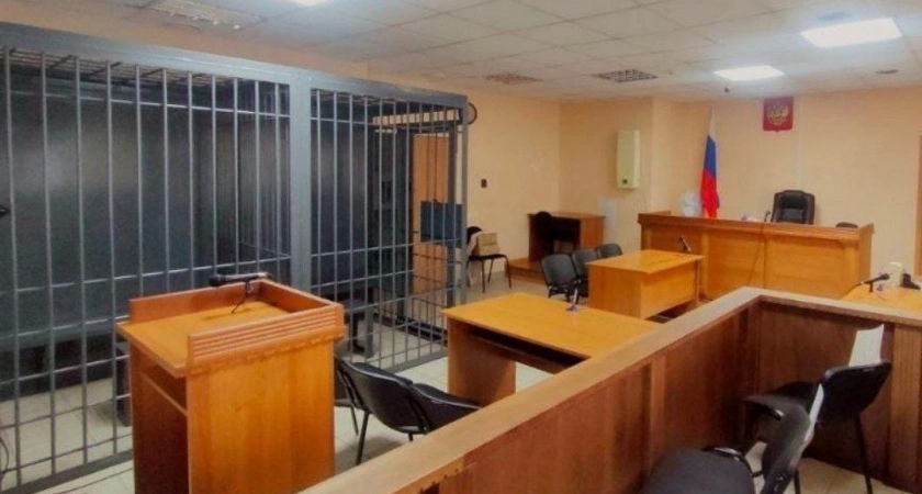 Фото к статье: В Иркутской области суд вынес приговор мужчине, натравившего бойцовскую собаку на годовалую девочку