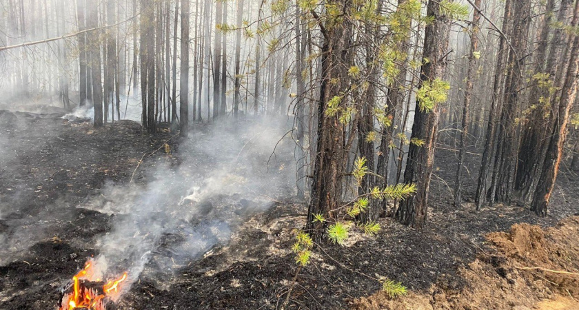 Первые лесные пожары в 2025 году зафиксированы в  Иркутской области