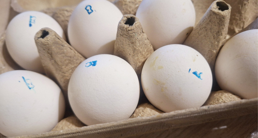 Иркутская область замораживает цены на социально значимые продукты