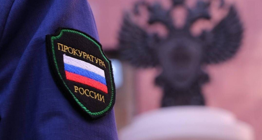 Лесорубы расплатились за вред природе в Иркутской области