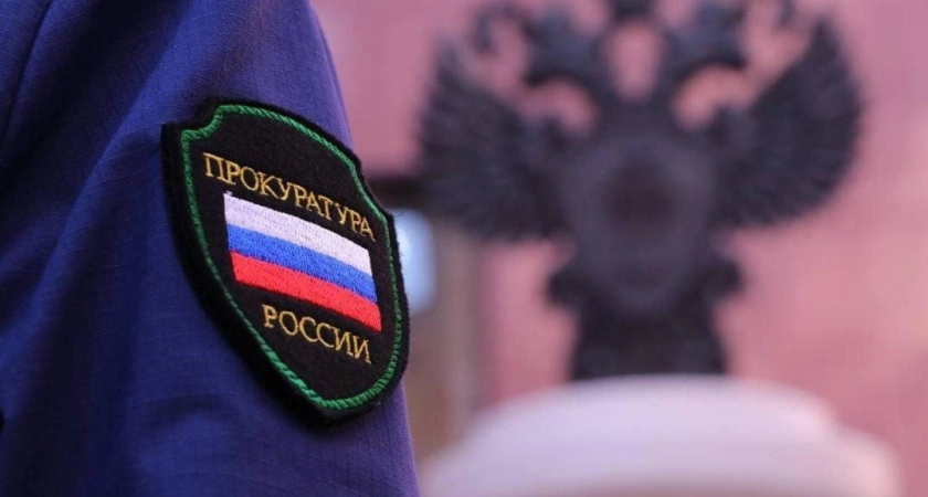 Фото к статье: Лесорубы расплатились за вред природе в Иркутской области
