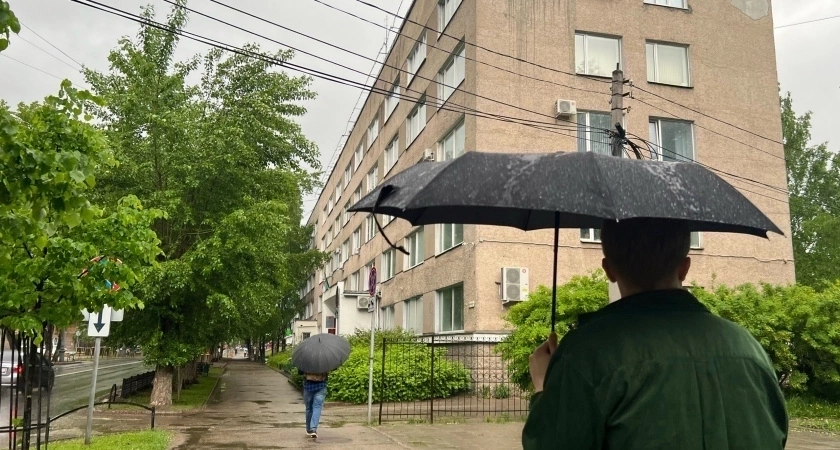 Фото к статье: Каким будет лето 2025 после аномально теплой зимы: эксперты рассказали, к чему должны быть готовы садоводы