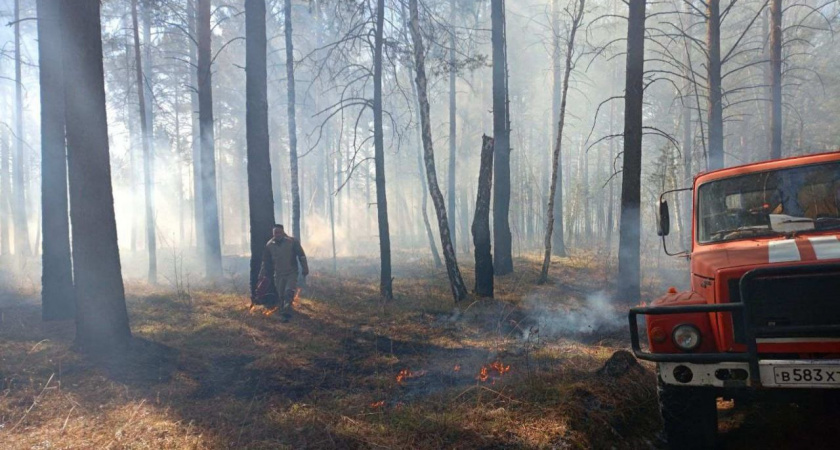 В Иркутской области локализовали серию лесных пожаров