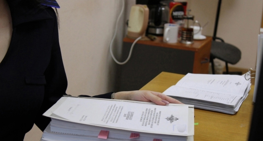 Избиение младшеклассника в Иркутской области: Бастрыкин потребовал доклад о случившемся