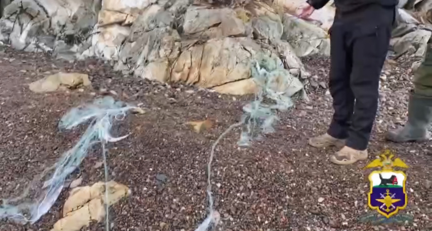 В Иркутской области браконьеры опустошают Байкал