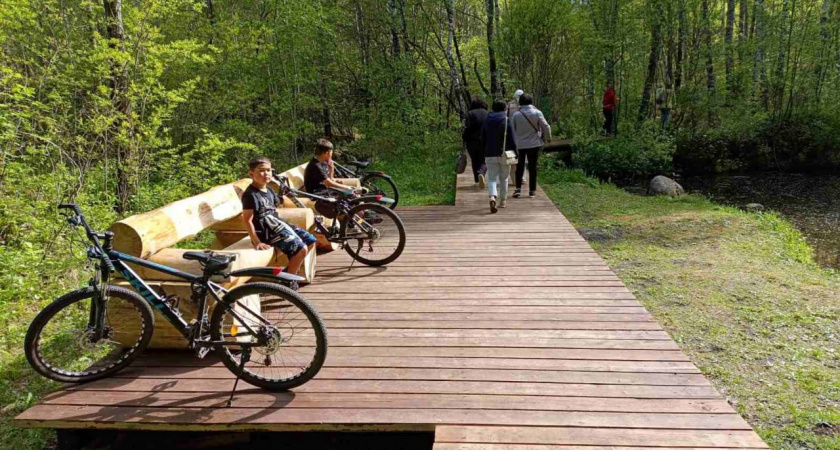 Иркутская область выбирает будущее: как оценить вклад НКО в развитие региона